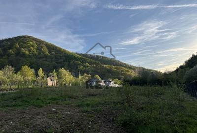 Teren la poalele Cetății Cisnadioarei de vânzare/1250 mp - 2