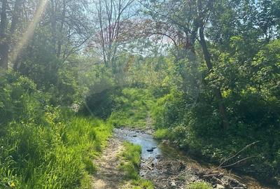 Teren Construcții intravilan de 1000 mp, în Măgura - 1