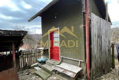 Casă cu 5 camere cu Teren 1990 Mp în Adunați - 14