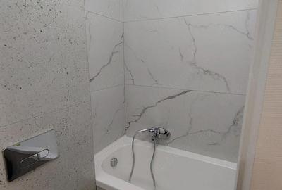 Garsonieră decomandată în Nufărul - 8
