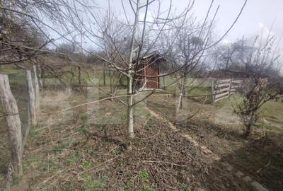 Teren 300 mp + Cabana,zona Livezile,Valea Lunga - 20