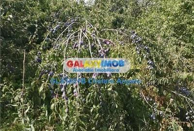 Casă în Toporu - 3