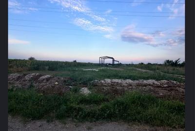 Teren de 2000 mp, în Săbăreni - 3