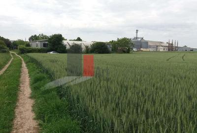 Teren Buftea cu iesire la lac - 10