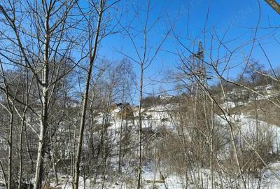 Teren situat in Predeal - 9