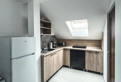 Ofer spre inchiriere STUDIO modern si primitor semicentral - 7
