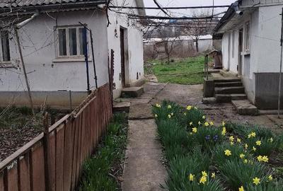 Casă cu 2 camere cu Teren 2000 Mp în Valea Adâncă - 3