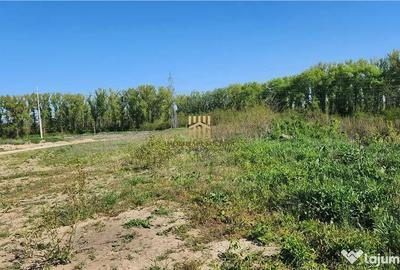 Teren de 180000 mp, în Șcheia - 3