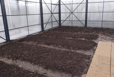 Teren agricol intravilan de 906 mp, în Bâldana - 14