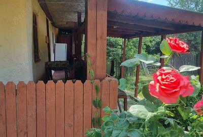 Casa si teren Comuna Fagetelu - 4