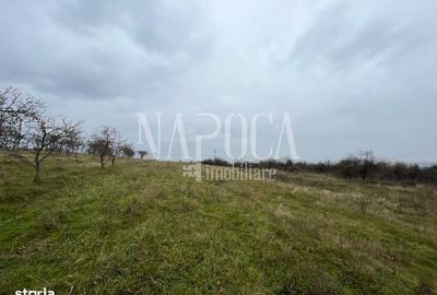 Spațiu comercial, în Feleacu - 3