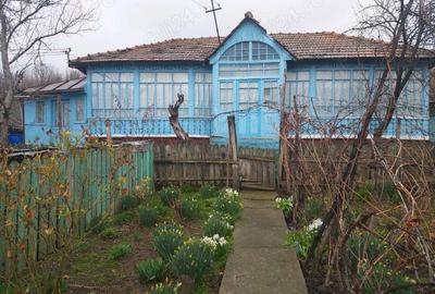 Casa muntenii de jos - 6