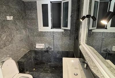 Birou de inchiriat in zona Herastrau - 1