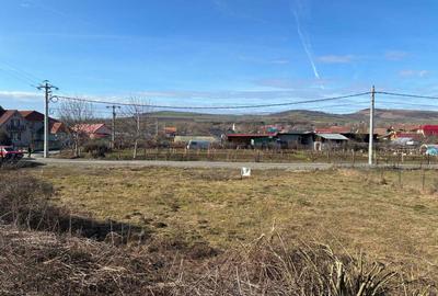 Teren de 1000 mp, în Exterior Vest - 8