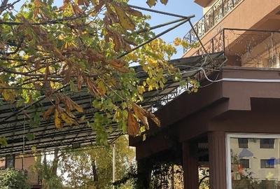 Imobil si teren de vanzare - 6