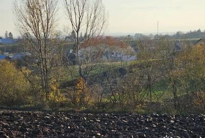 Teren de 6100 mp, în Stroiești - 7