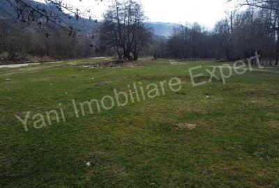 Teren de 3000 mp, în Bucșenești - 10