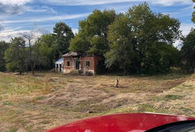 Spațiu comercial, în Central - 2