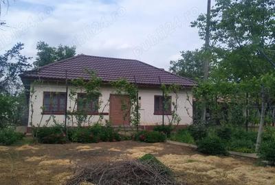 Casă cu 4 camere în Coșoveni - 1