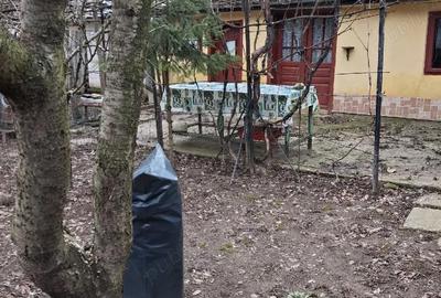 Casă cu 3 camere cu Teren 864 Mp în Siliștea - 3