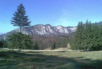 Teren Predeal - 1