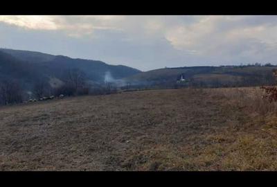 Spațiu comercial, în Călățea - 7