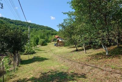 Cabana, anexe si 2000 mp teren intravilan in Taratel, Brad - 9