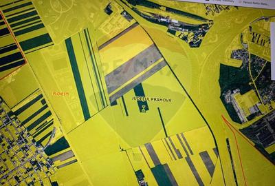 DE VANZARE Teren 25,000mp Ploiesti /  Centura de Vest - 8