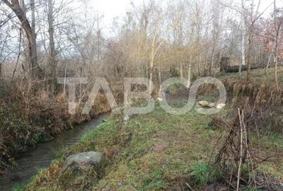 Teren de 8000 mp, în Viștișoara - 5