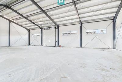 Hala industriala in zona Giarmata Timi? - 2