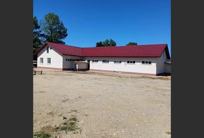 Spațiu comercial generos, la drum principal, localitatea Daia - 2