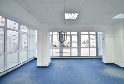 Inchiriere 242 mp | Imobil birouri Domenii | Comision 0%-Reprezentare Proprietar - 3