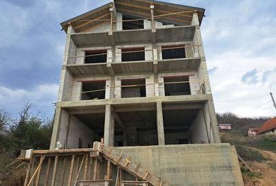 Casa de vacan?a Eselni?a, Clisura Dunarii - 4