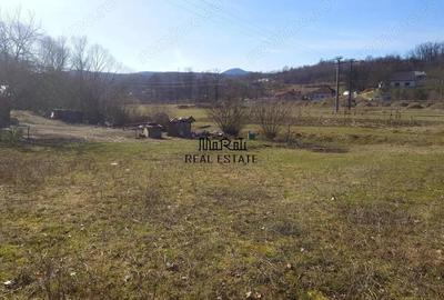 Teren de 3384 mp, în Sud - 5