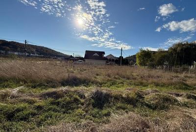 Teren intravilan 600 MP zona  Benta Teren intravilan 600 MP zona  Benta - 2