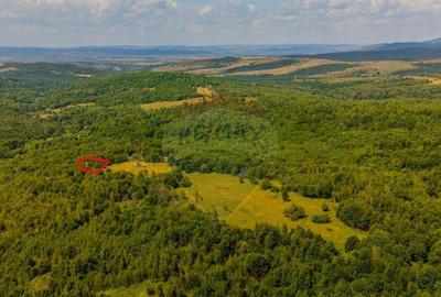 COMISION 0% Teren 6,572 mp/Cur?i construc?ii/ Intravilan - 2