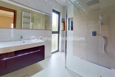 Inchiriere | Casa tip vila | zona Gruia - 16