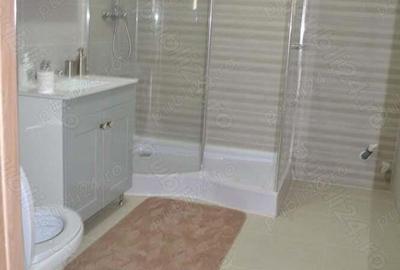 Casa 270 mp utili + teren generos 4330 mp-Peciu Nou - 4