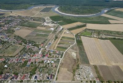 Teren intravilan 6.005 mp in Zadareni - 8