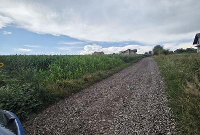 Spațiu comercial, în Moara - 1