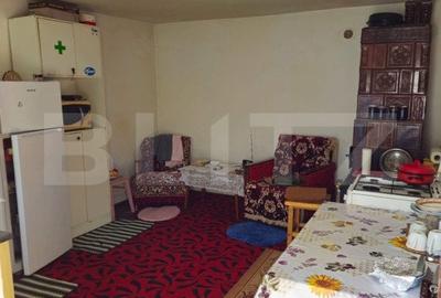 Casa spatioasa cu livada, intr-o zona linistia la 20 km de Targoviste - 14