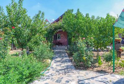 Vanzare casa individuala, curte, Mihailesti, Giurgiu - 9