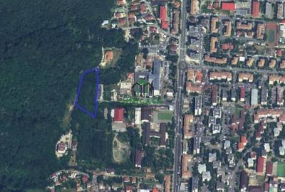 Teren Ramnicu Valcea / 28 Ha - 2