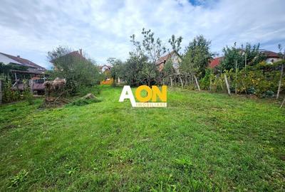 De vanzare casa 3 camere, 719mp teren, Cetate - 17