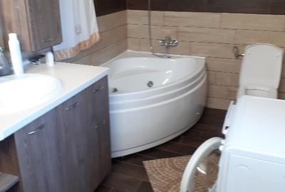 Proprietar vând casă în Dumbravița - 10