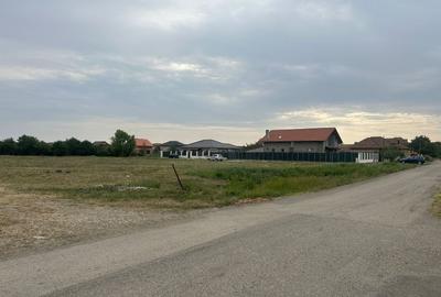 Teren Construcții intravilan de 6000 mp, în Săcălaz - 2