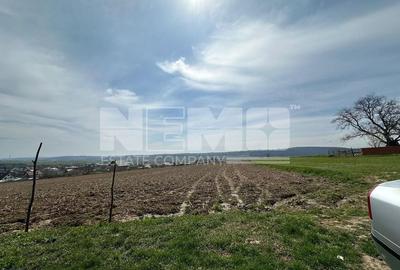 Teren De Vanzare I Patrauti Suceava I Pret: 15EUR /mp - 3