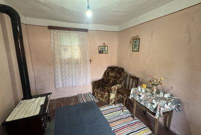 Casă de vânzare in Tisa Nouă, teren generos - 21