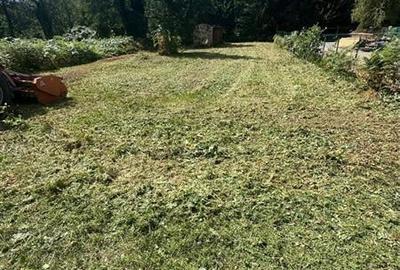 Teren intravilan de vanzare 500 mp Valea Avrigului - 7