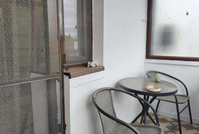 Apartament 1 camera in Deva, zona Gojdu - 9